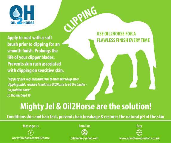 Oil 2 Horse and Might Jel Usage Directions